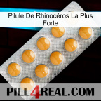 Pilule De Rhinocéros La Plus Forte levitra1